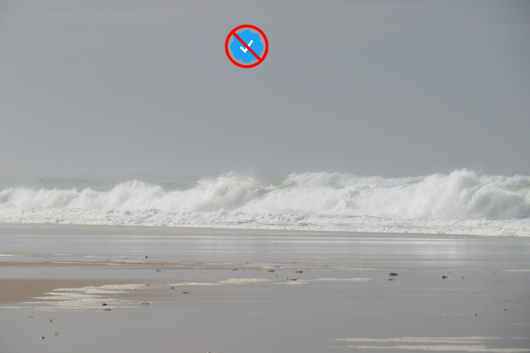 Retouche photo troll : Ajout du badge "unverified" à la place d'un grain de poussière.
Photo de base : Une plage et des vagues.